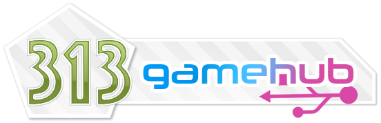 313GameHub